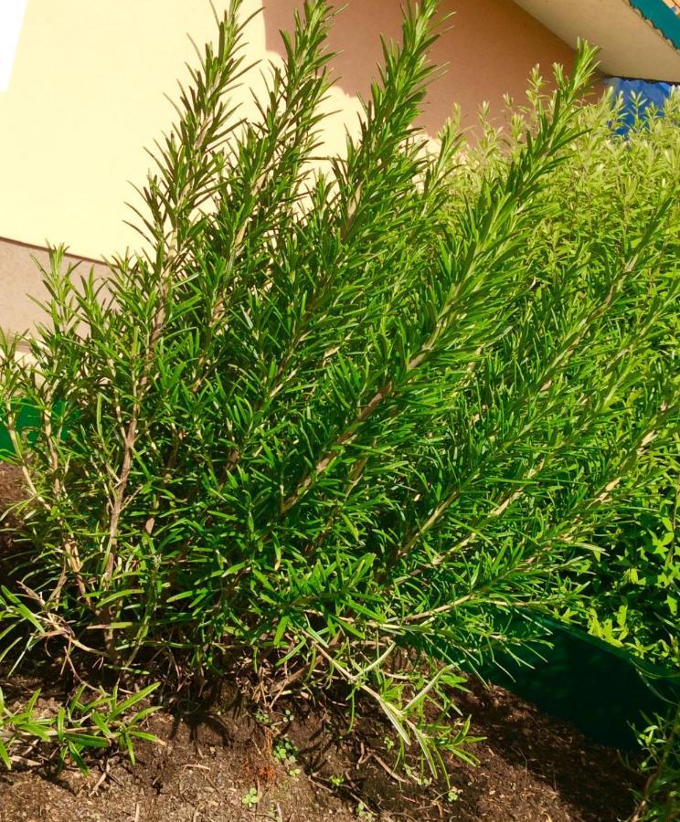 فندق Tieschnhof غوربمينغ المظهر الخارجي الصورة